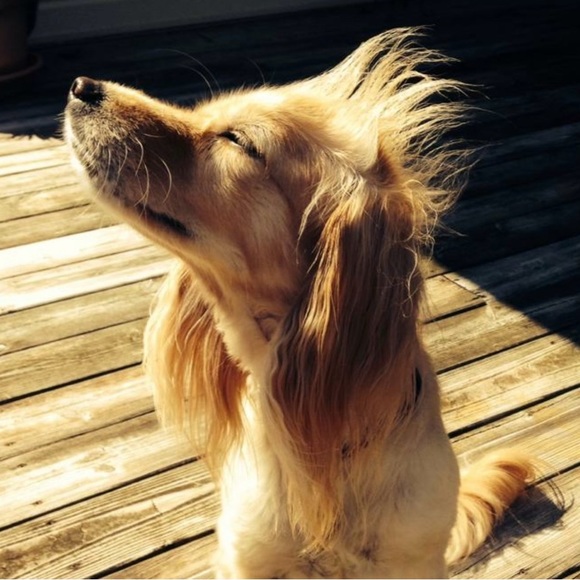 Meet the Posher - Picture 3 of 3